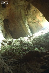 Dazhaidong