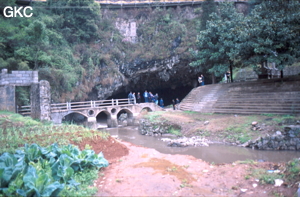 Biyundong