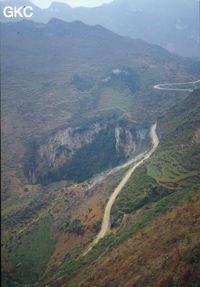 Jiaocaidong
