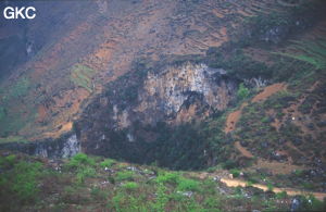 Jiaocaidong