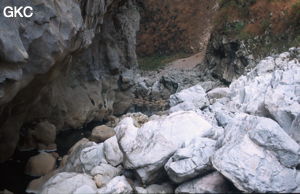 Gesoluoshuidong