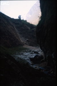Gesoluoshuidong