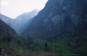 Gesoluoshuidong
