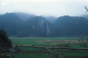 Dadong