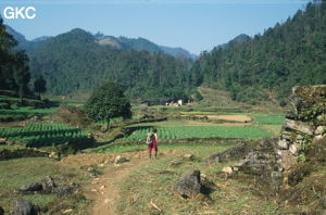 Jean Pierre Barbary en route pour la doline de Longtanzhishuidong (Wenquan, Suiyang, Guizhou).