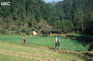 Jean Pierre Barbary et Laurent Mangel en route pour la doline de Longtanzhishuidong (Wenquan, Suiyang, Guizhou).