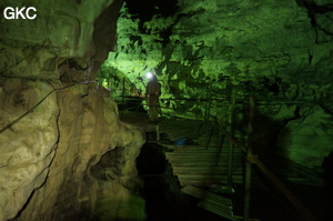 Grotte de Shuangheshuidong 双河水洞. - réseau de Shuanghedongqun 双河洞 - (Wenquan, Suiyang 绥阳, Zunyi Shi 遵义市, Guizhou 贵州省, Chine 中国)