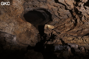 Grotte de Shuangheshuidong 双河水洞. - réseau de Shuanghedongqun 双河洞 - (Wenquan, Suiyang 绥阳, Zunyi Shi 遵义市, Guizhou 贵州省, Chine 中国)