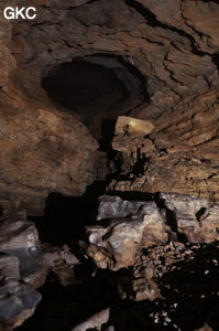 Grotte de Shuangheshuidong 双河水洞. - réseau de Shuanghedongqun 双河洞 - (Wenquan, Suiyang 绥阳, Zunyi Shi 遵义市, Guizhou 贵州省, Chine 中国)