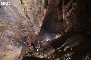 Grotte de Shuangheshuidong 双河水洞. - réseau de Shuanghedongqun 双河洞 - (Wenquan, Suiyang 绥阳, Zunyi Shi 遵义市, Guizhou 贵州省, Chine 中国)