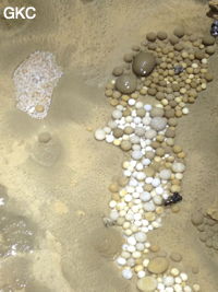 Nids de perles des cavernes (pisolithe) dans la Grotte de Longtanzishuidong 龙潭子水洞 (aval) - réseau de Shuanghedongqun 双河洞 - (Wenquan, Suiyang 绥阳, Zunyi Shi 遵义市, Guizhou 贵州省, Chine 中国)