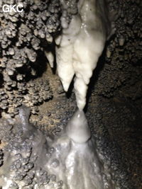 Petites concrétions claires dans la Grotte de Longtanzishuidong 龙潭子水洞 (aval) - réseau de Shuanghedongqun 双河洞 - (Wenquan, Suiyang 绥阳, Zunyi Shi 遵义市, Guizhou 贵州省, Chine 中国)