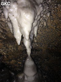 Petites concrétions claires dans la Grotte de Longtanzishuidong 龙潭子水洞 (aval) - réseau de Shuanghedongqun 双河洞 - (Wenquan, Suiyang 绥阳, Zunyi Shi 遵义市, Guizhou 贵州省, Chine 中国)