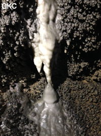 Petites concrétions claires dans la Grotte de Longtanzishuidong 龙潭子水洞 (aval) - réseau de Shuanghedongqun 双河洞 - (Wenquan, Suiyang 绥阳, Zunyi Shi 遵义市, Guizhou 贵州省, Chine 中国)