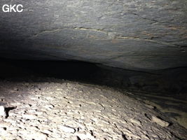Passage bas dans la Grotte de Longtanzishuidong 龙潭子水洞 (aval) - réseau de Shuanghedongqun 双河洞 - (Wenquan, Suiyang 绥阳, Zunyi Shi 遵义市, Guizhou 贵州省, Chine 中国)
