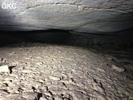Passage bas dans la Grotte de Longtanzishuidong 龙潭子水洞 (aval) - réseau de Shuanghedongqun 双河洞 - (Wenquan, Suiyang 绥阳, Zunyi Shi 遵义市, Guizhou 贵州省, Chine 中国)