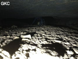 Passage bas dans la Grotte de Longtanzishuidong 龙潭子水洞 (aval) - réseau de Shuanghedongqun 双河洞 - (Wenquan, Suiyang 绥阳, Zunyi Shi 遵义市, Guizhou 贵州省, Chine 中国)