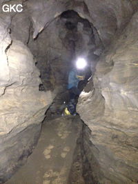 Topographie dans la Grotte de Longtanzishuidong 龙潭子水洞 (aval) - réseau de Shuanghedongqun 双河洞 - (Wenquan, Suiyang 绥阳, Zunyi Shi 遵义市, Guizhou 贵州省, Chine 中国)