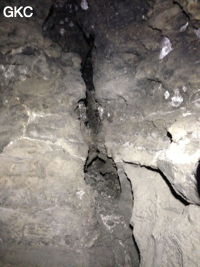 Grotte de Longtanzishuidong 龙潭子水洞 (aval) - réseau de Shuanghedongqun 双河洞 - (Wenquan, Suiyang 绥阳, Zunyi Shi 遵义市, Guizhou 贵州省, Chine 中国)
