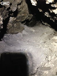 Grotte de Longtanzishuidong 龙潭子水洞 (aval) - réseau de Shuanghedongqun 双河洞 - (Wenquan, Suiyang 绥阳, Zunyi Shi 遵义市, Guizhou 贵州省, Chine 中国)