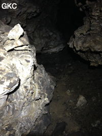Grotte de Longtanzishuidong 龙潭子水洞 (aval) - réseau de Shuanghedongqun 双河洞 - (Wenquan, Suiyang 绥阳, Zunyi Shi 遵义市, Guizhou 贵州省, Chine 中国)