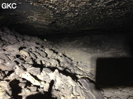 Grotte de Longtanzishuidong 龙潭子水洞 (aval) - réseau de Shuanghedongqun 双河洞 - (Wenquan, Suiyang 绥阳, Zunyi Shi 遵义市, Guizhou 贵州省, Chine 中国)