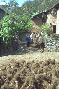 Dans un hameau des 