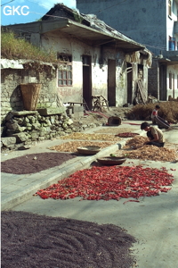 Dès que sort le chaud soleil d'août, une mosaïque colorée colonise toutes les surfaces planes et propres disponibles. Elles serviront d'aire de séchage aux divers végétaux fanes fruits ou graines (piments, légumineuses, arachides, céréales...). Ici  dans la rue principale du village de Xingchang (Liuzhi, Guizhou).
