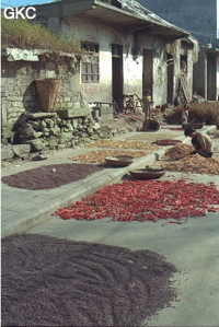 Dès que sort le chaud soleil d'août, une mosaïque colorée colonise toutes les surfaces planes et propres disponibles. Elles serviront d'aire de séchage aux divers végétaux fanes fruits ou graines (piments, légumineuses, arachides, céréales...). Ici  dans la rue principale du village de Xingchang (Liuzhi, Guizhou).