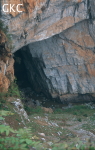 Le proche d'entrée de la perte de la rivière Gedahe (Gedahe Luoshuidong)  (Panxian, Liupanshui, Guizhou).