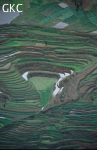 Rizières étagées épousant les courbes de niveau dans la vallée, route reliant Panxian à Baoji.