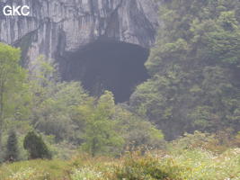Yangerdong