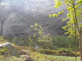 Le grand talus d'éboulis masque partiellement l'imposant porche d'entrée de Laoyingwodong - 老鹰窝洞 (Santang 三塘, Zhijin 织金, Bijie Diqu 毕节地区, Guizhou 贵州省, Chine)