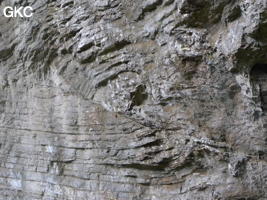 Cicatrice de glissement sur la paroi, grotte de Laoyingwodong - 老鹰窝洞 (Santang 三塘, Zhijin 织金, Bijie Diqu 毕节地区, Guizhou 贵州省, Chine)
