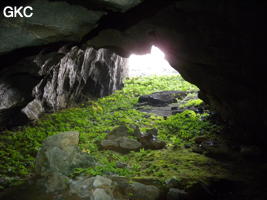 Petit diverticule comme un jardin japonais dans la grotte de Laoyingwodong - 老鹰窝洞 (Santang 三塘, Zhijin 织金, Bijie Diqu 毕节地区, Guizhou 贵州省, Chine)