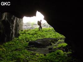 Petit diverticule comme un jardin japonais dans la grotte de Laoyingwodong - 老鹰窝洞 (Santang 三塘, Zhijin 织金, Bijie Diqu 毕节地区, Guizhou 贵州省, Chine)