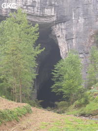 Porche d'entrée de la grotte-perte de Laoyingyan - 老鹰 (Santang 三塘, Zhijin 织金, Bijie Diqu 毕节地区, Guizhou 贵州省, Chine)