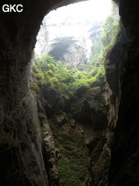 La galerie de la grotte de Houzidong 猴子洞 est éventrée par le tiankeng éponyme (Santang 三塘, Zhijin 织金, Bijie Diqu 毕节地区, Guizhou 贵州省, Chine)