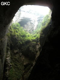 Le tiankeng de Houzitiankeng 猴子天坑 éventre la galerie de Houzidong - 猴子洞 (Santang 三塘, Zhijin 织金, Bijie Diqu 毕节地区, Guizhou 贵州省, Chine)