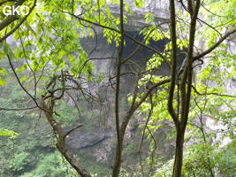 Le tiankeng de Houzitiankeng 猴子天坑 - Réseau de Houzidong - 猴子洞 (Santang 三塘, Zhijin 织金, Bijie Diqu 毕节地区, Guizhou 贵州省, Chine)