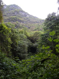 Grotte de Pusadong 菩萨洞. (Pingtang 平塘, Qiannan 黔南, Guizhou 贵州省, Chine 中国)