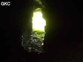 Grotte de Pusadong 菩萨洞. (Pingtang 平塘, Qiannan 黔南, Guizhou 贵州省, Chine 中国)