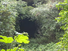 Un des deux porches d'entrée de la Grotte de Pusadong 菩萨洞. (Pingtang 平塘, Qiannan 黔南, Guizhou 贵州省, Chine 中国)