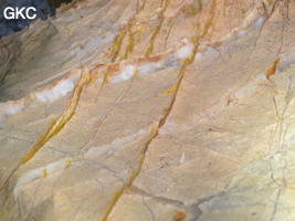 Veines de calcite extrudées dans les calcaires du trias, Grotte de Pusadong 菩萨洞. (Pingtang 平塘, Qiannan 黔南, Guizhou 贵州省, Chine 中国)