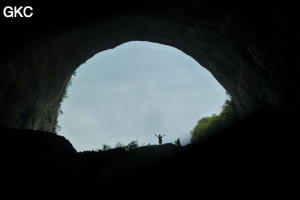 C'est de l'intérieur à contre jour que l'on prend conscience des dimensions exceptionnelles du porche d'entrée de la grotte de Laoyingwodong - 老鹰窝洞 (Santang 三塘, Zhijin 织金, Bijie Diqu 毕节地区, Guizhou 贵州省, Chine)