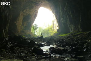 Laoyingyan - 老鹰 (Santang 三塘, Zhijin 织金, Bijie Diqu 毕节地区, Guizhou 贵州省, Chine)