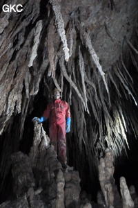 Grotte de Miaodong 苗洞 (Tangbian 塘边, Pingtang 平塘, Qiannan 黔南, Guizhou 贵州省, Chine)