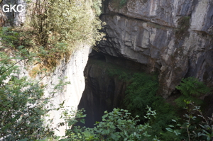 Le puits d'entrée de Yanzidongshujing 燕子洞竖井 (Hezhang 赫章, Bijie Diqu 毕节地区, Guizhou 贵州省, Chine)