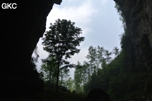 Le porche d'entrée de la grotte-perte de Laoyingyan - 老鹰 à contre jour. (Santang 三塘, Zhijin 织金, Bijie Diqu 毕节地区, Guizhou 贵州省, Chine)