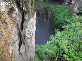 Le puits d'entrée de Yanzidongshujing 燕子洞竖井 (Hezhang 赫章, Bijie Diqu 毕节地区, Guizhou 贵州省, Chine)